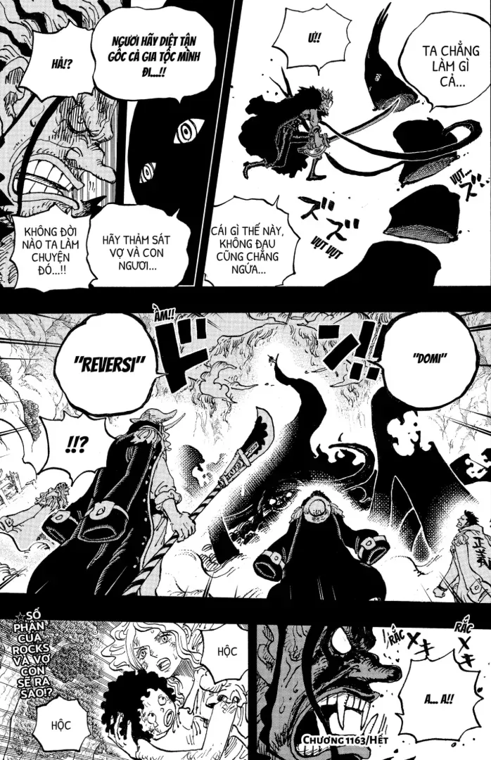 One Piece Tập 1163 trang 14