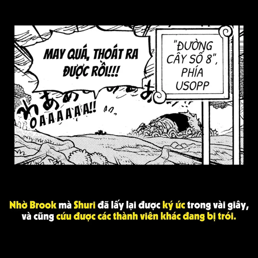 One Piece Tập 1173.1 trang 43