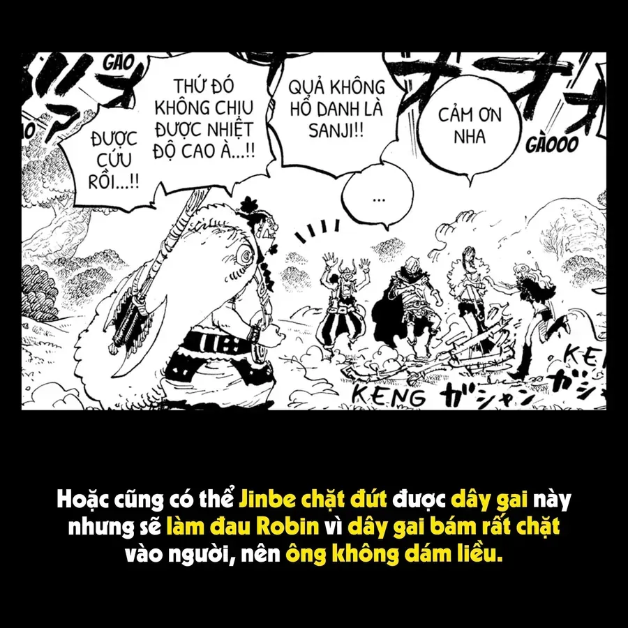One Piece Tập 1175.1 trang 5