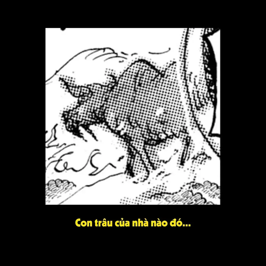 One Piece Tập 1175.1 trang 7