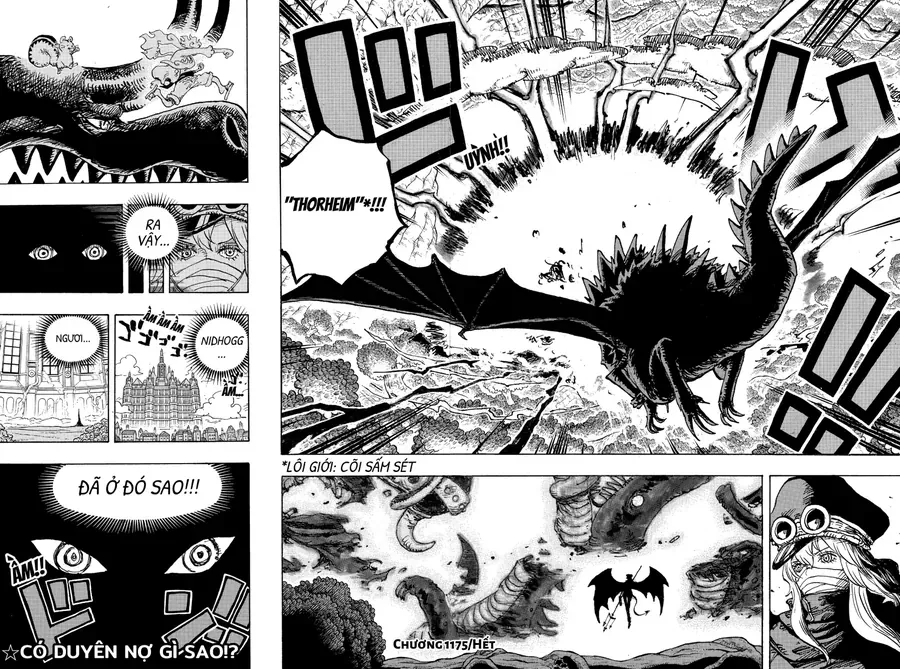 One Piece Tập 1175 trang 12