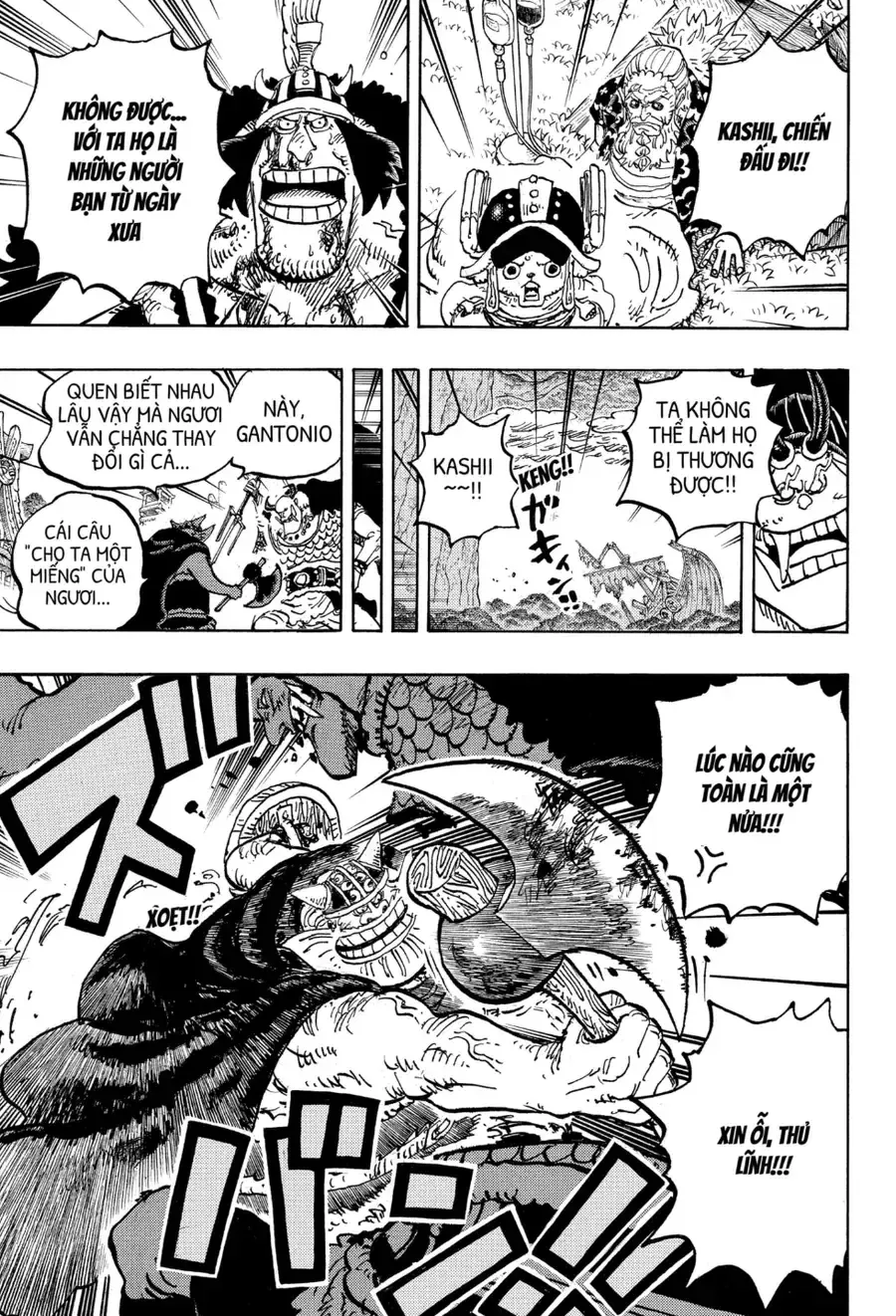 One Piece Tập 1177.1 trang 4