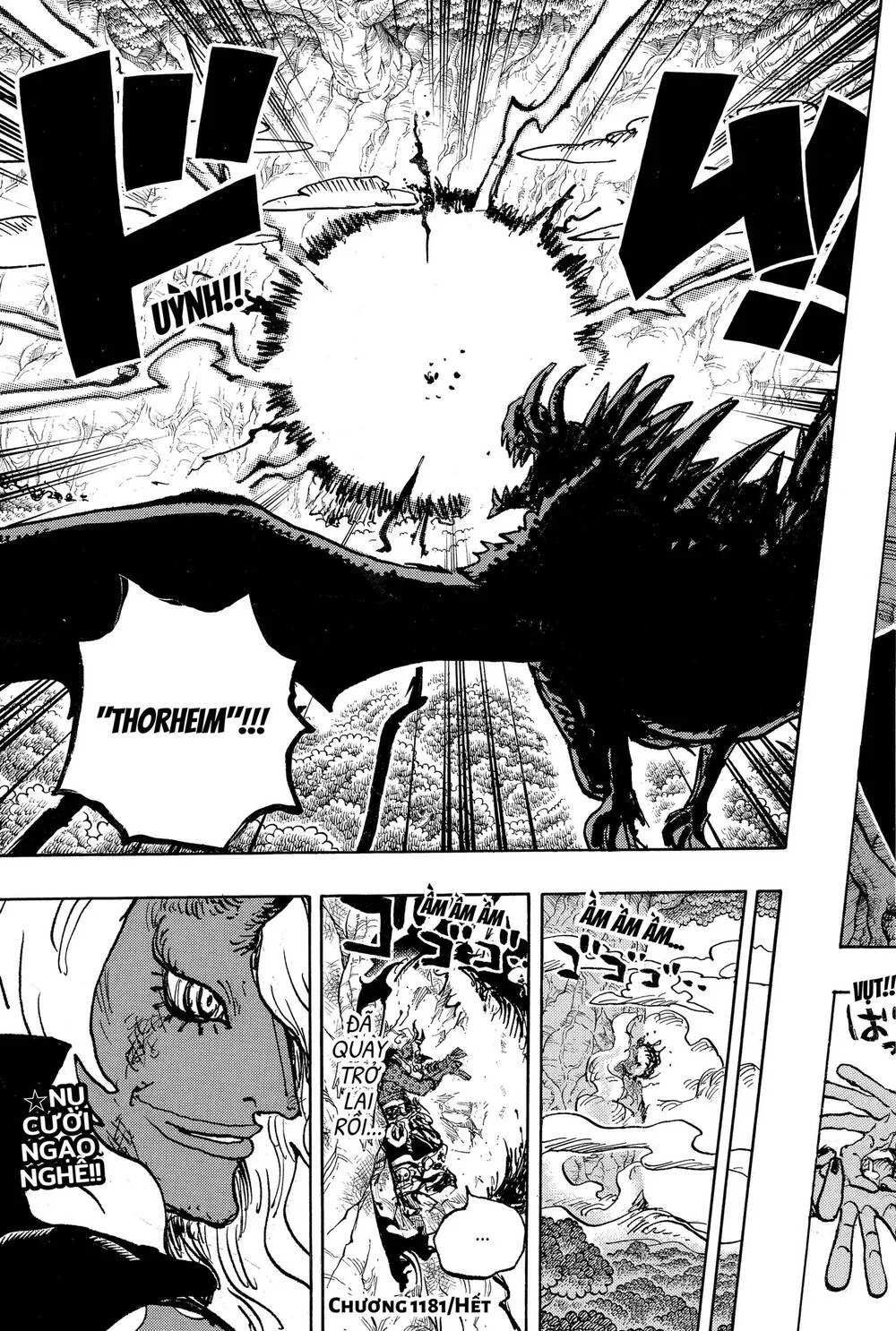 One Piece Tập 1181.5 trang 16