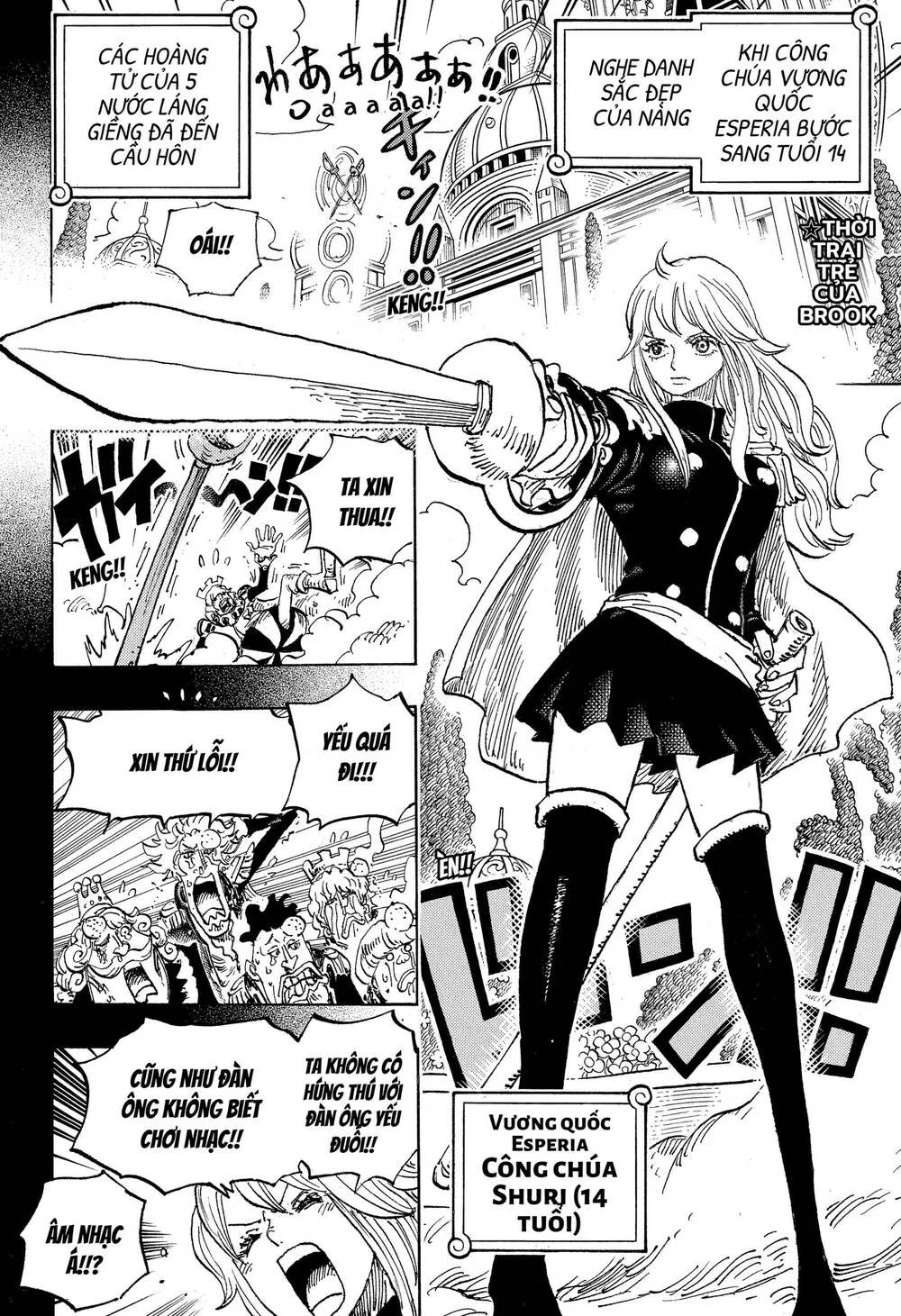 One Piece Tập 1184.5 trang 3
