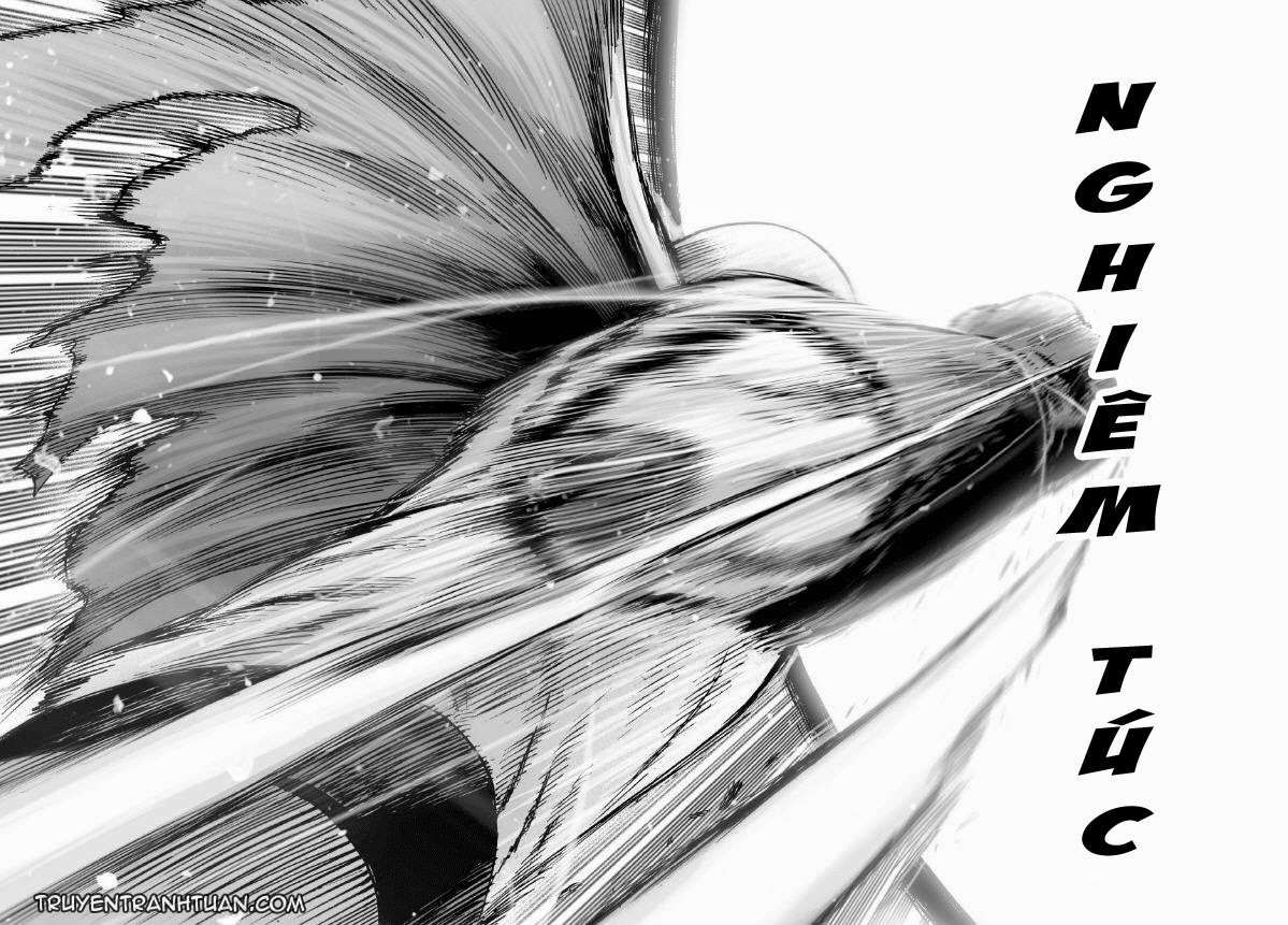 Onepunch Man Tập 47.2 trang 24
