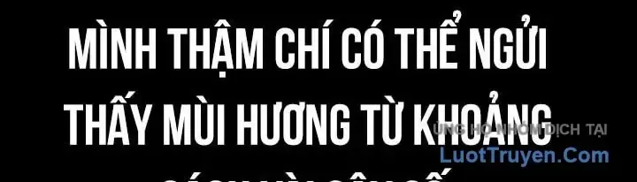 Sát Thủ Peter Tập 132 trang 4