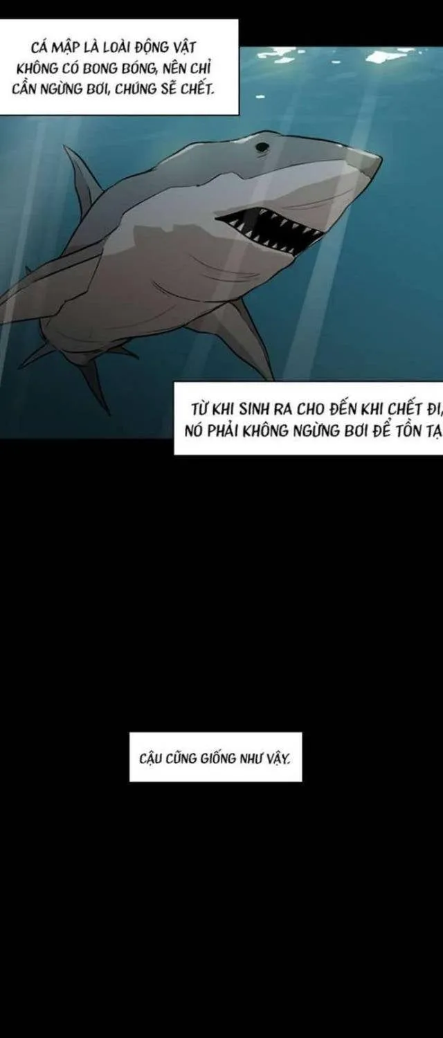 Shark – Cá Mập Tập 0 trang 5