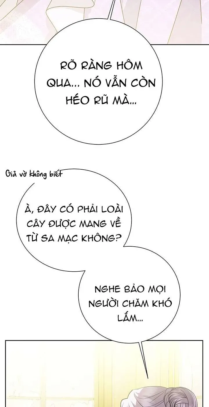 Tôi Sẽ Không Hối Tiếc Vì Anh Đâu Tập 140 trang 63