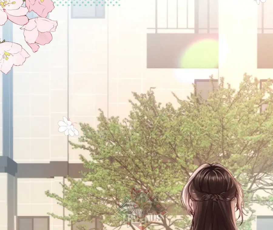 Vãn Triều Tập 7 trang 11