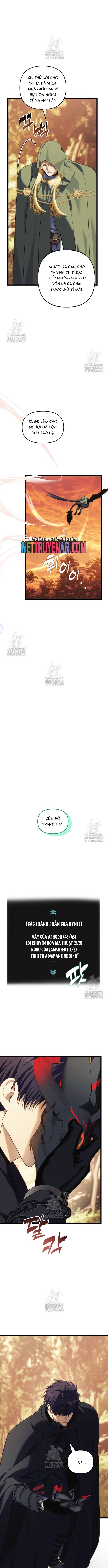Vua Thăng Cấp Tập 217 trang 10