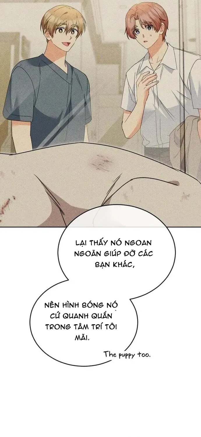 Xin Chào! Bác Sĩ Thú Y Tập 121 trang 63