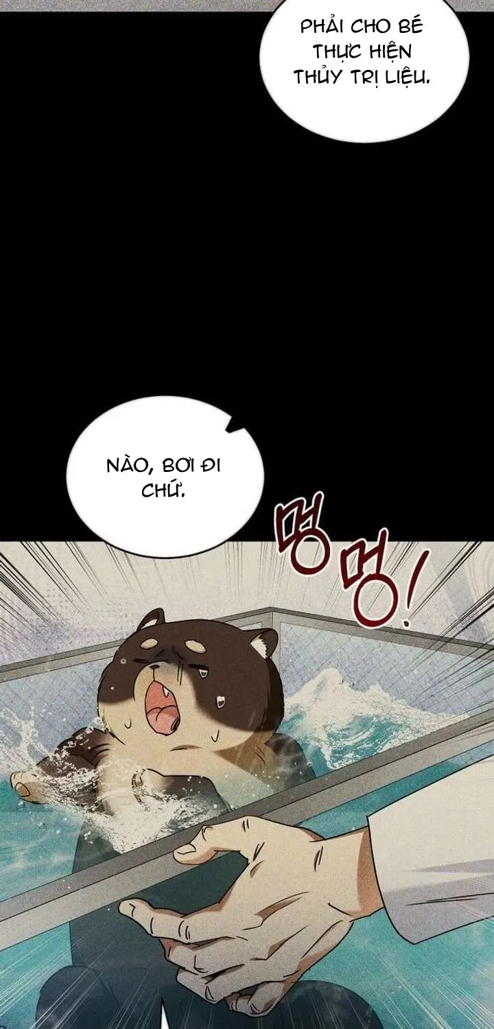 Xin Chào! Bác Sĩ Thú Y Tập 128 trang 15
