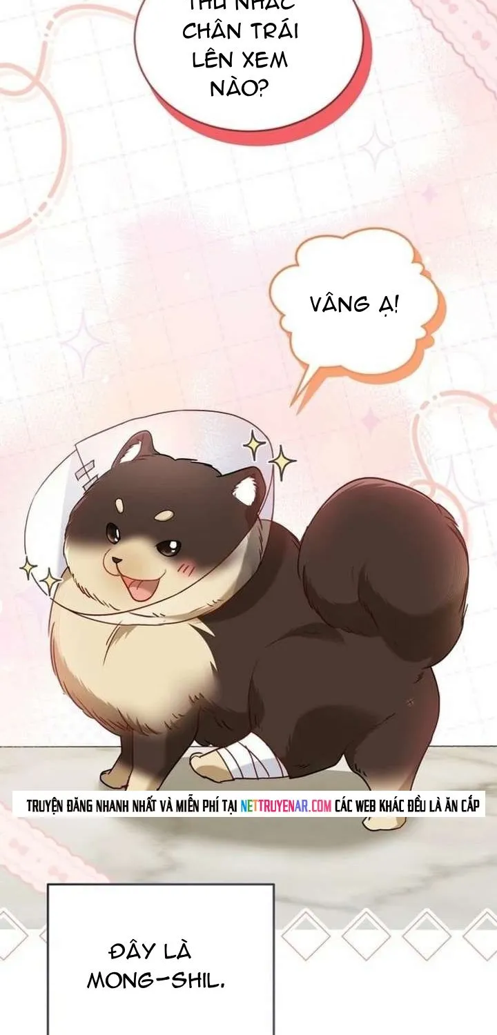 Xin Chào! Bác Sĩ Thú Y Tập 128 trang 3