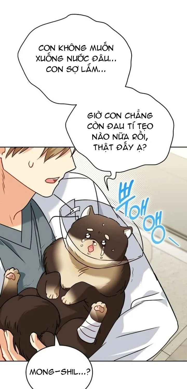 Xin Chào! Bác Sĩ Thú Y Tập 128 trang 27