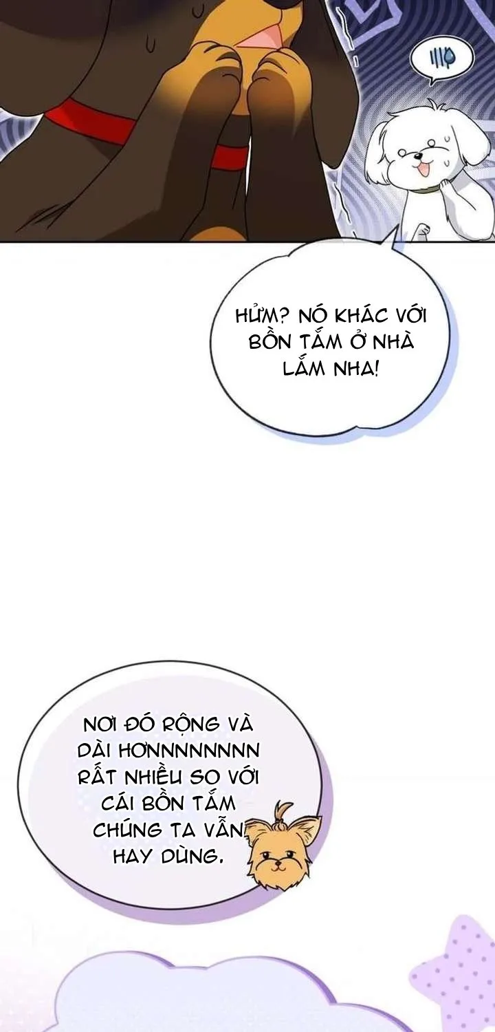 Xin Chào! Bác Sĩ Thú Y Tập 129 trang 13