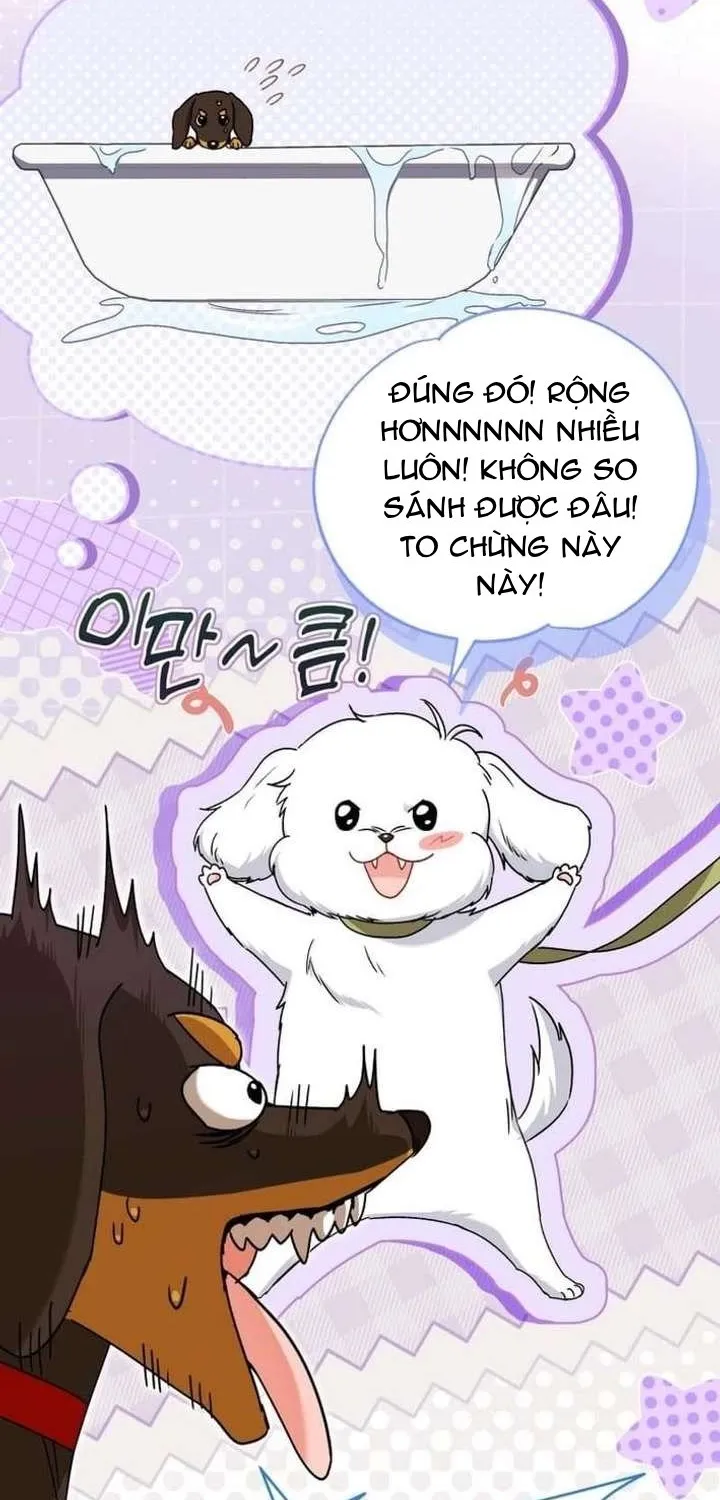 Xin Chào! Bác Sĩ Thú Y Tập 129 trang 14